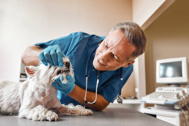 Best Emergency Denture Repair in Boynton Beach, FL